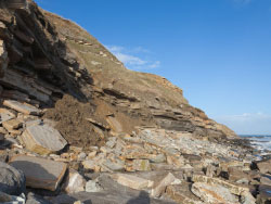 Click to view image Durlston Bay Landslides - 1489
