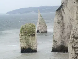 Click to view image Old Harry Rocks