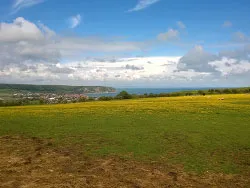 Click to view image Swanage from the South