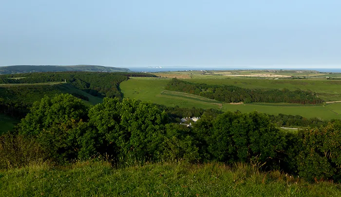 Swanage and Purbeck Gallery