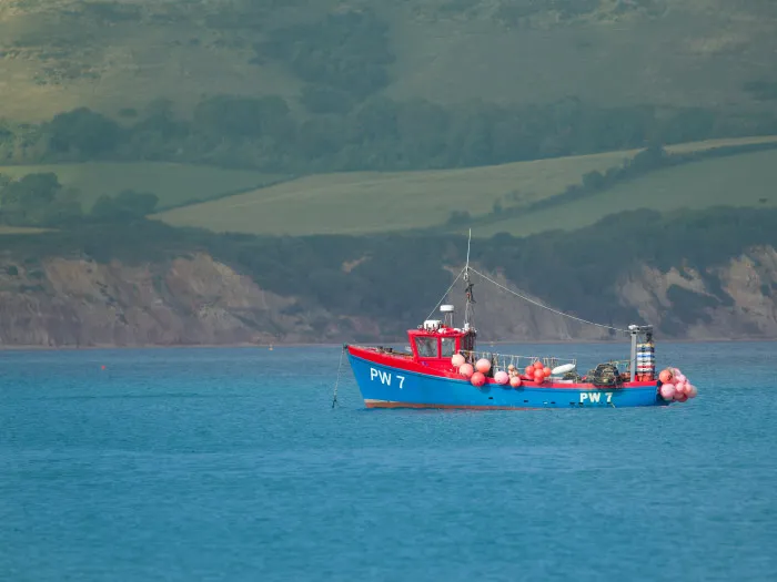 Swanage and Purbeck Gallery