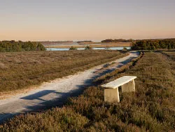 Click to view image Arne Nature Reserve