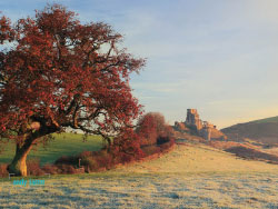 Click to view image Corfe Autumn Tree - 1610