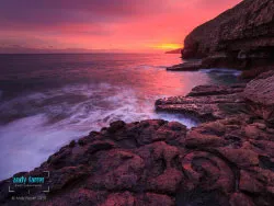 Click to view image Dancing Ledge Ammonite