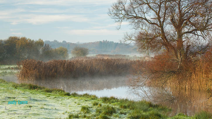 River Frome Mist
