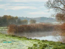 Click to view image River Frome Mist