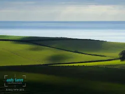 Click to view image Kimmeridge Greens