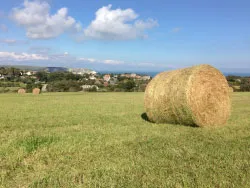 Click to view image Swanage from Durlston