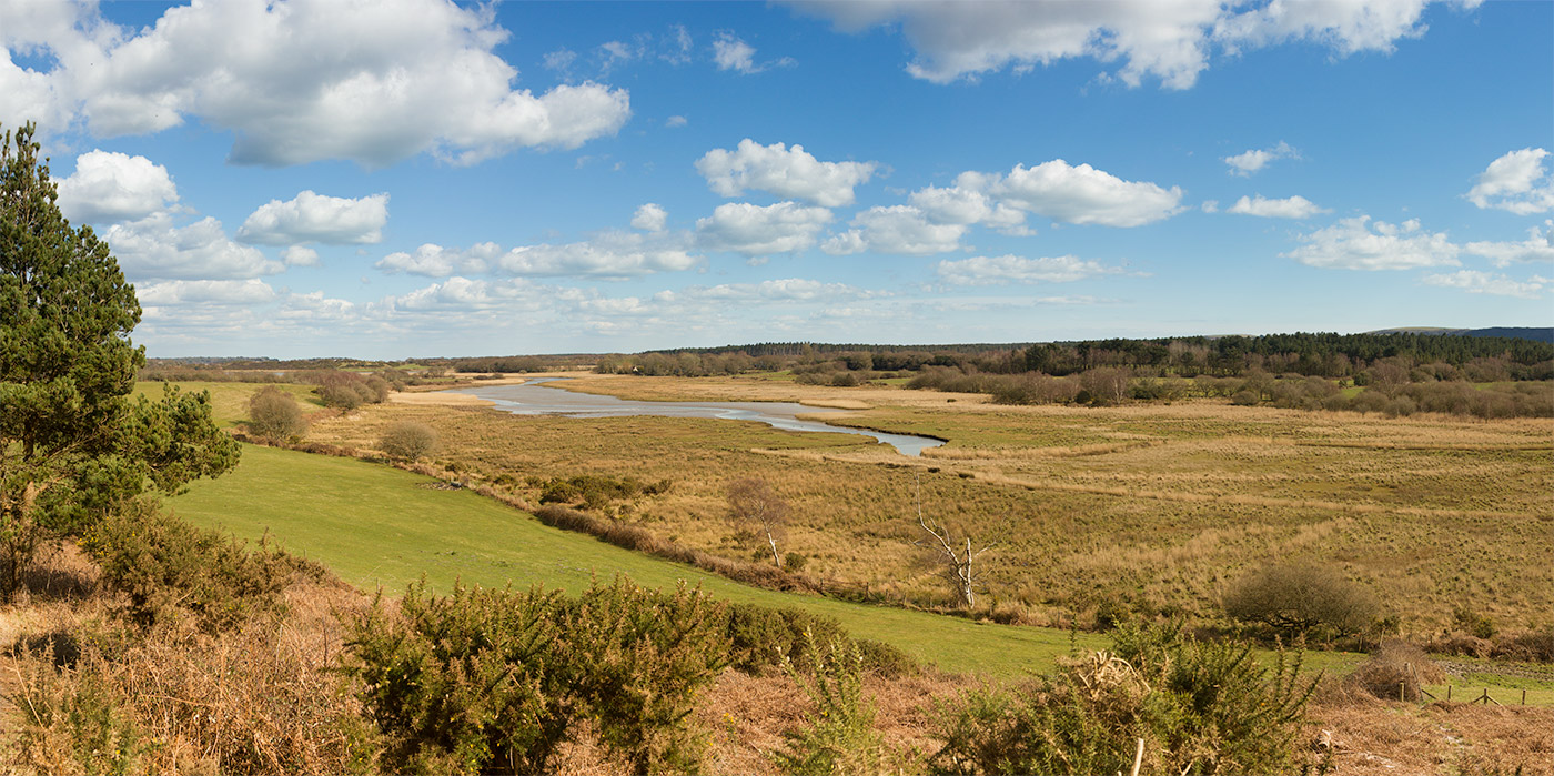 Poole Harbour from Heartland Moor Swanage gallery