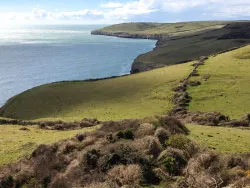 Jurassic Coastline above Dancing Ledge - Ref: VS1683