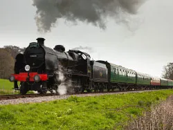 Steam Train - Ref: VS1689