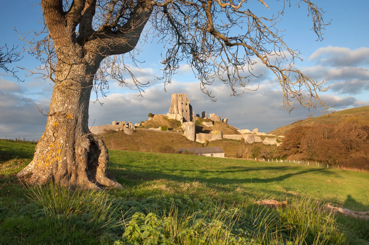 Swanage and Purbeck Gallery