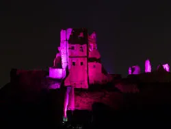 Click to view image Castle in Purple