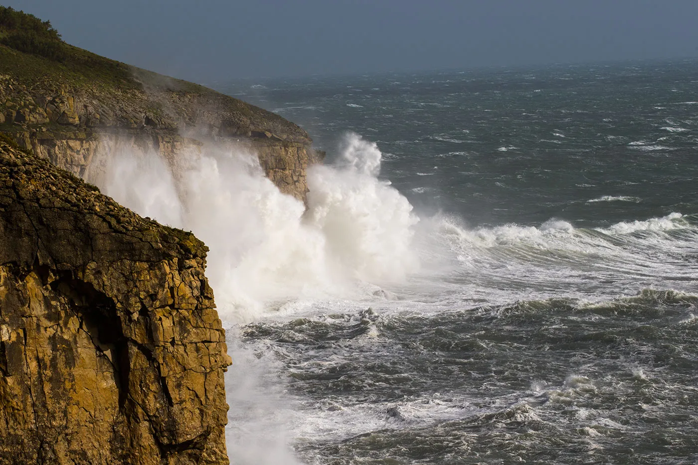 Swanage and Purbeck Gallery