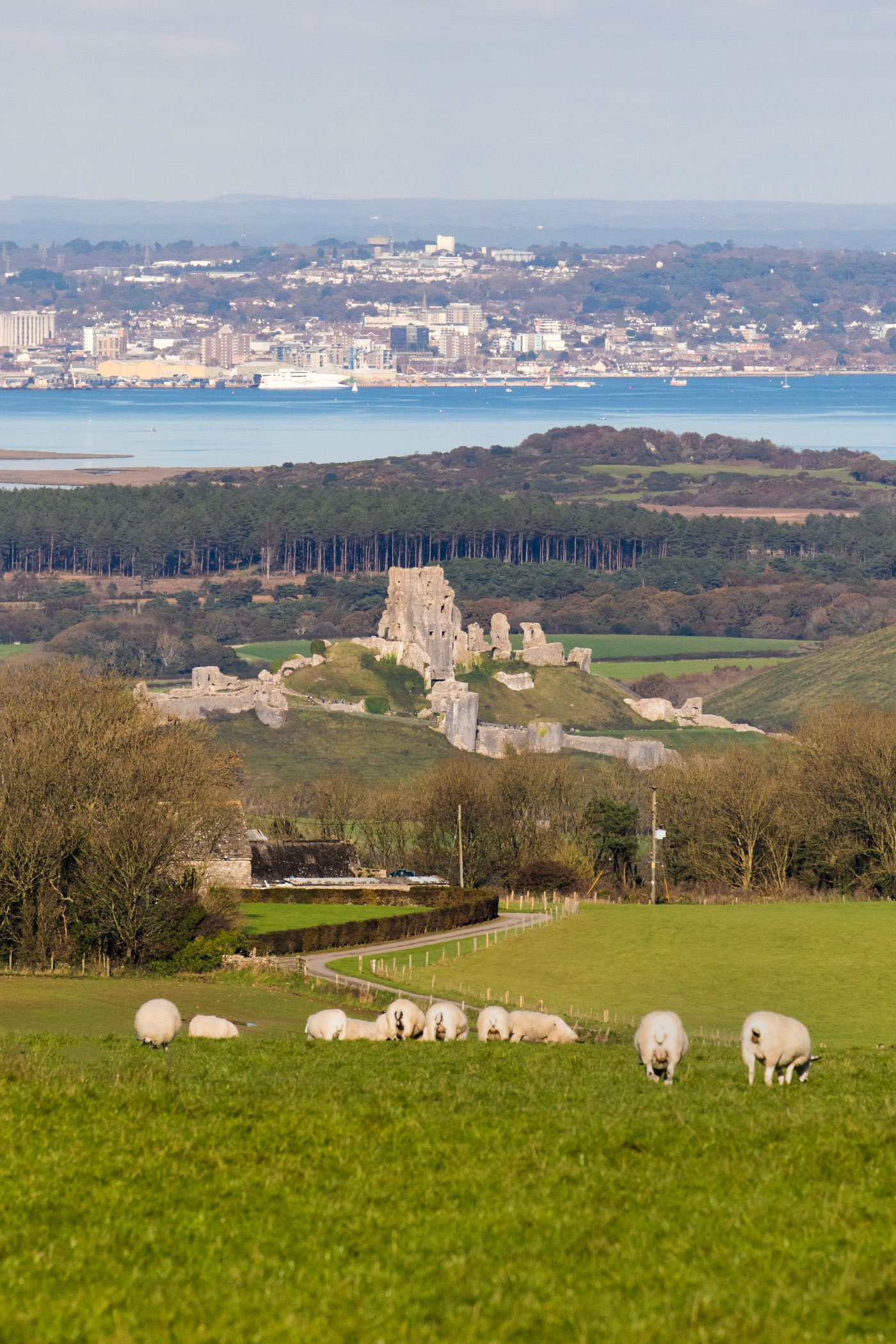 Corfe Castle and Poole Harbour