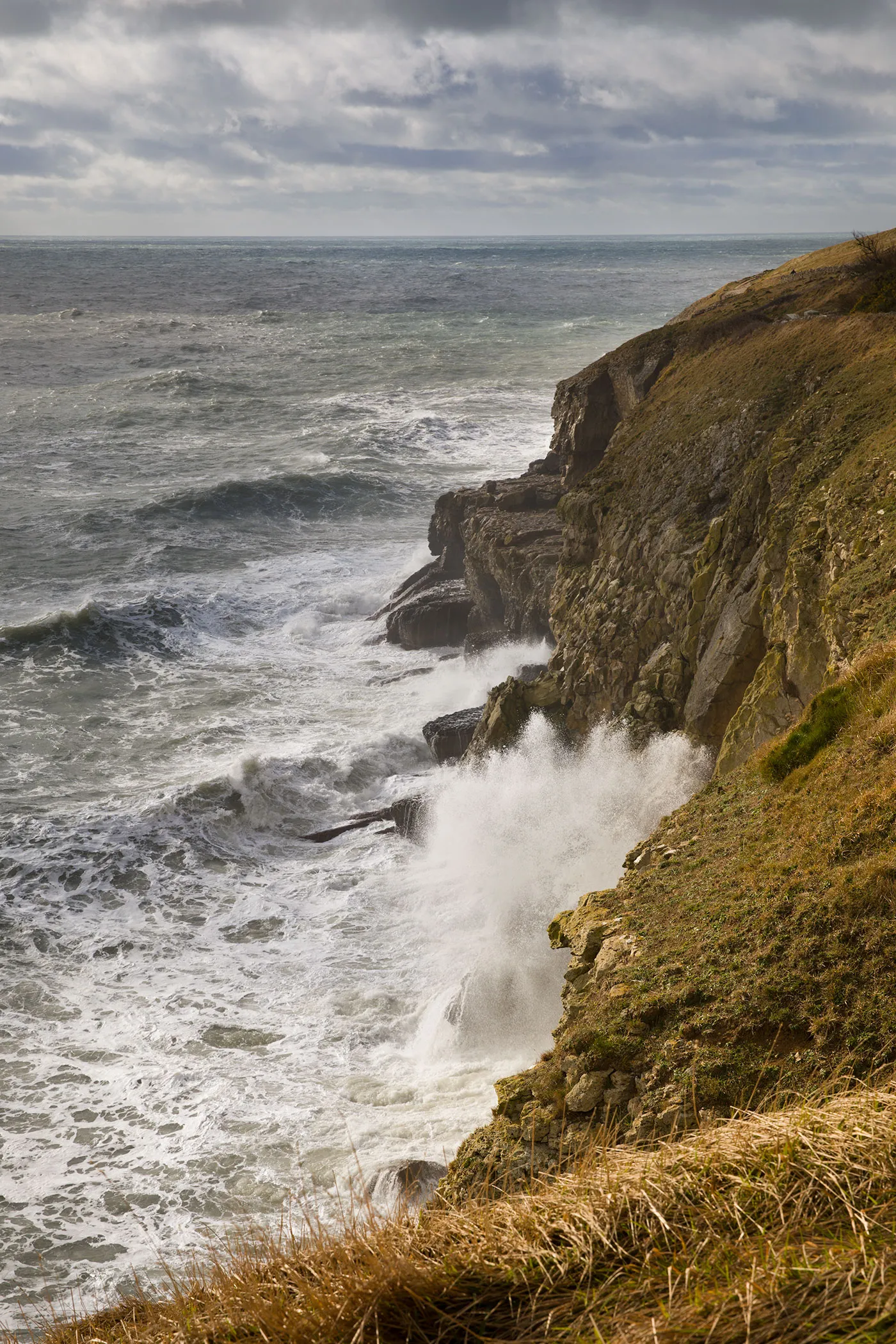 Swanage and Purbeck Gallery