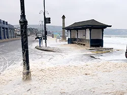 Click to view image Shore Road Foam