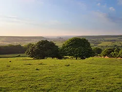 Click to view image Corfe Castle at dusk