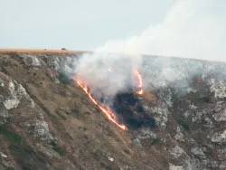 Click to view image Fire on Ballard Down