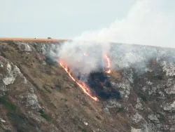 Fire on Ballard Down - Ref: VS1869