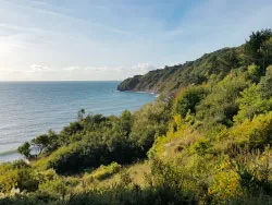 Durlston Bay in the Autumn - Ref: VS1872