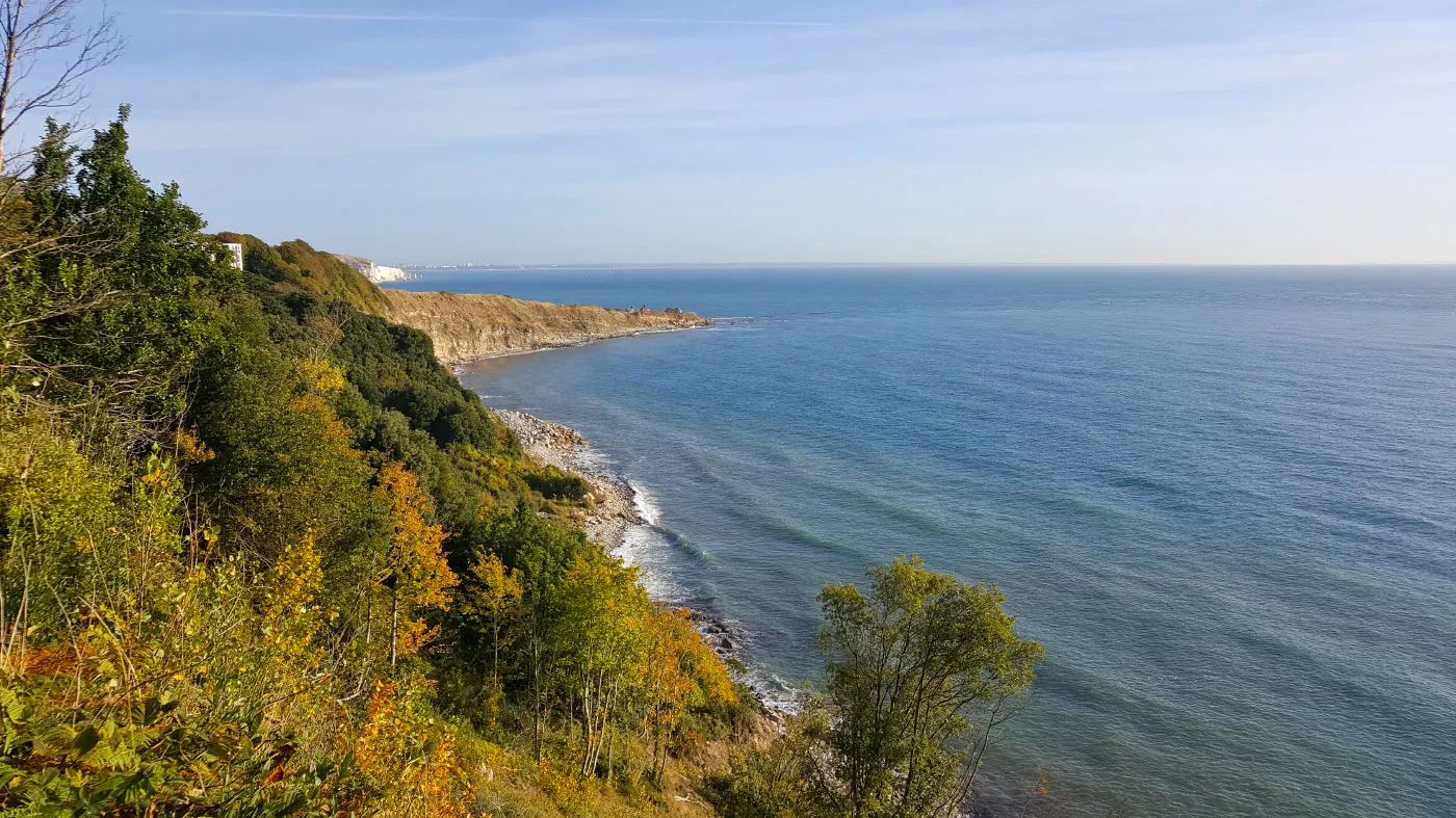 Swanage and Purbeck Gallery