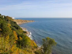 Durlston Bay in the Autumn - Ref: VS1873