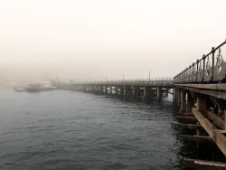 Click to view image Fog at the pier