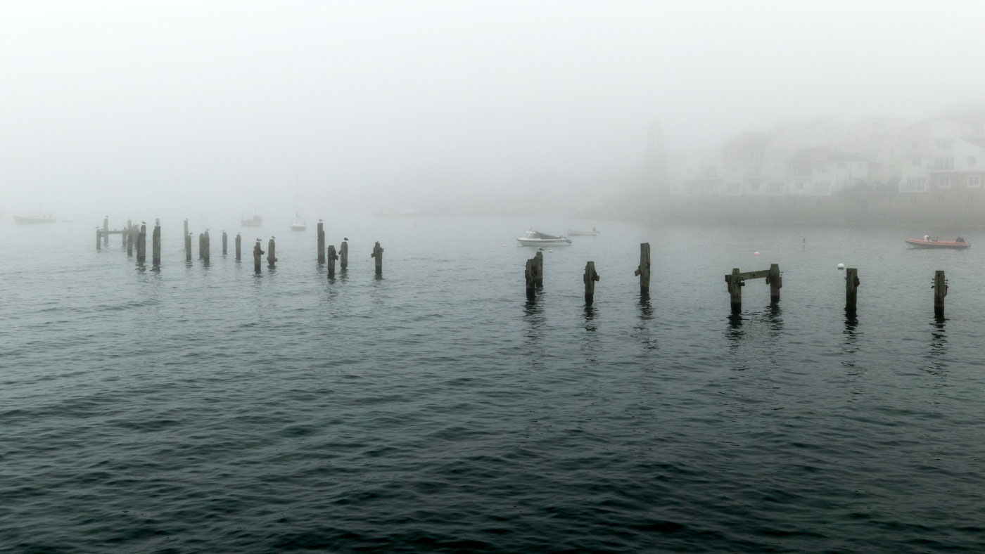 Fog at the old pier