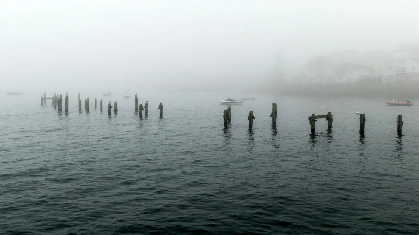 Swanage and Purbeck Gallery