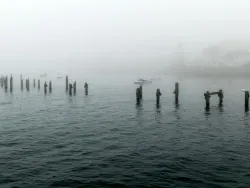 Click to view image Fog at the old pier
