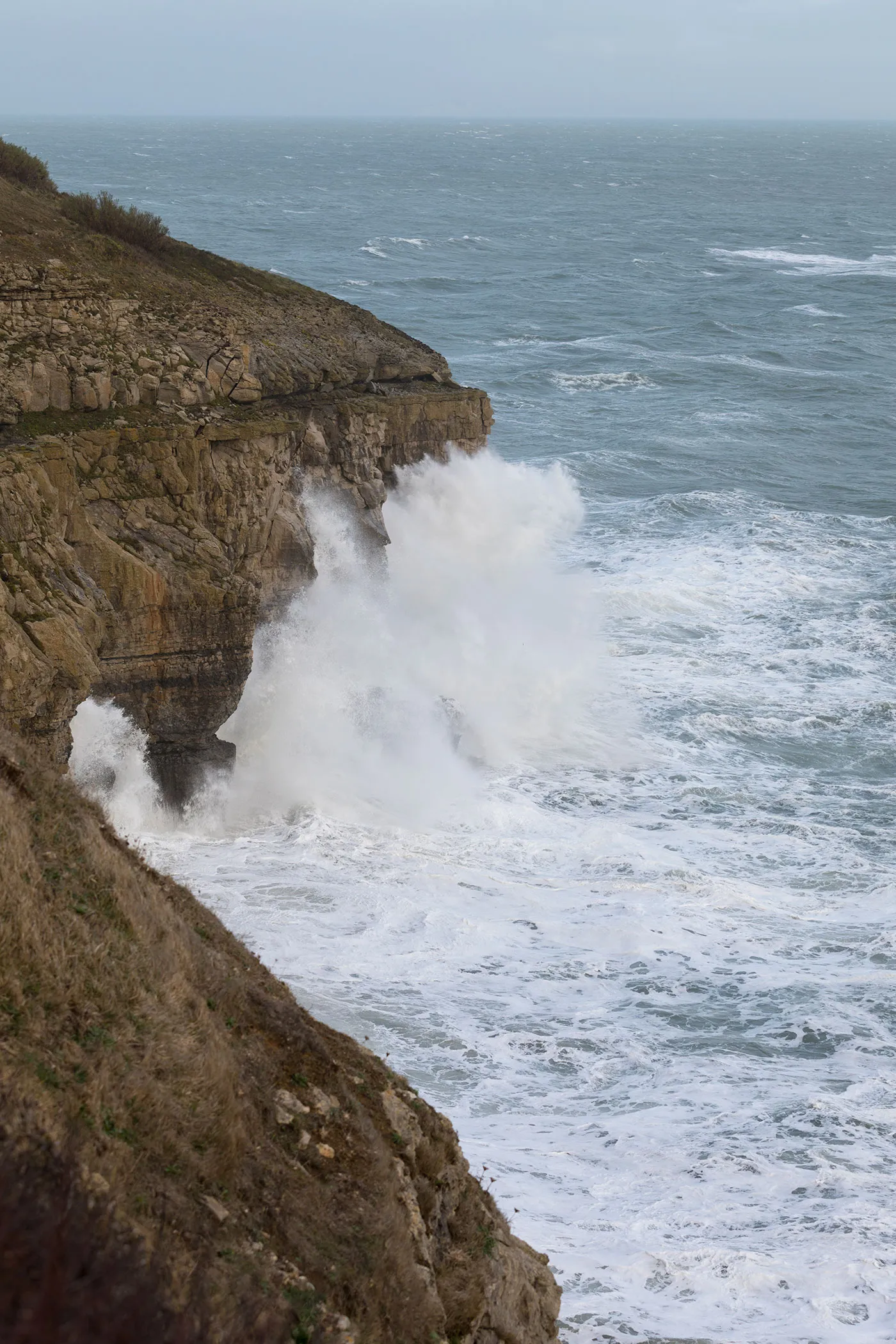 Swanage and Purbeck Gallery