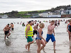 Boxing day Swim - Ref: VS1890