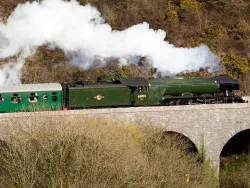 Click to view image Flying Scotsman at Corfe Castle Viaduct