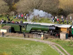 Click to view image Flying Scotsman at Norden Station