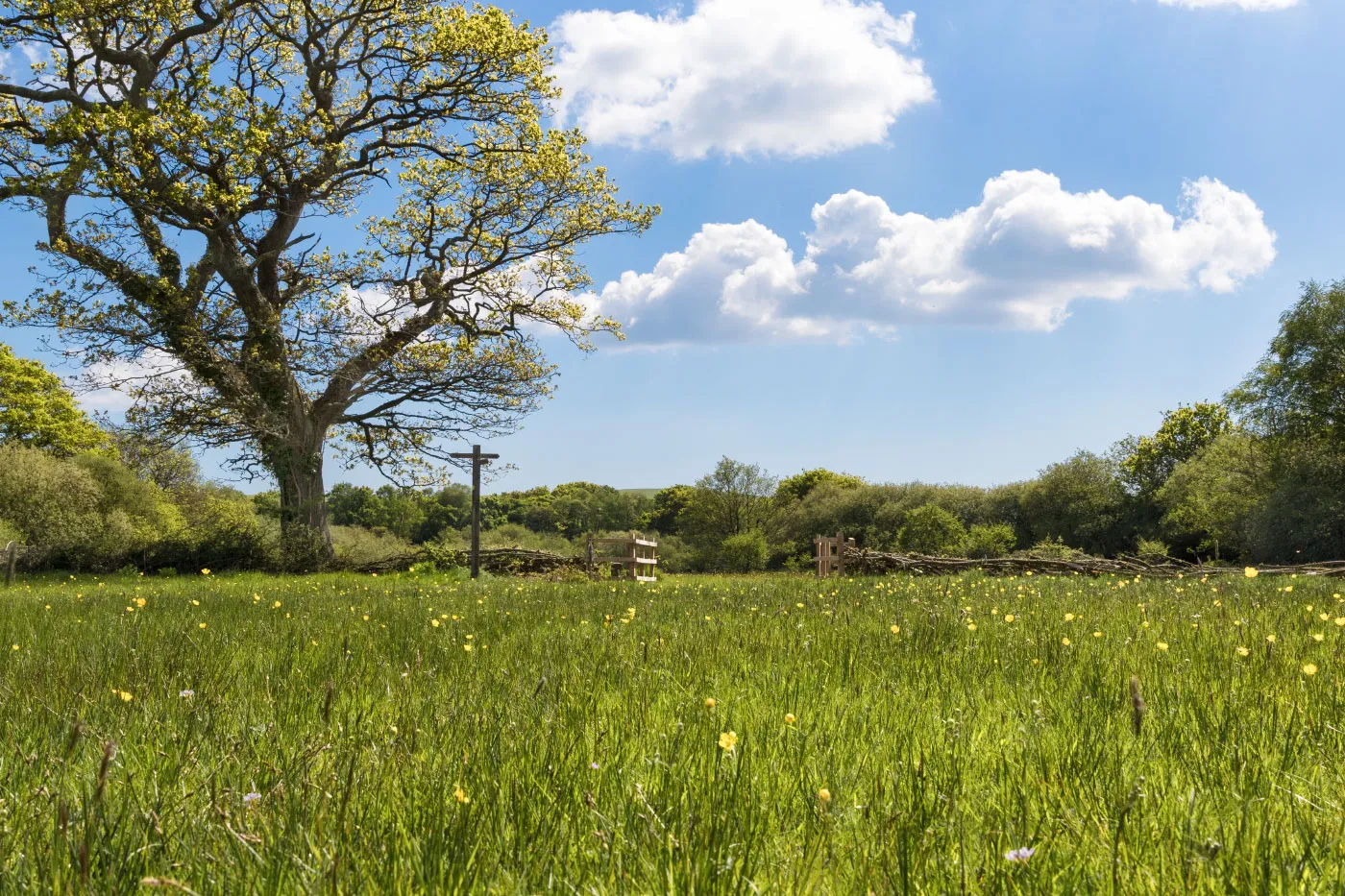Swanage and Purbeck Gallery