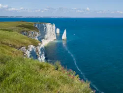 Click to view image The Pinnacles near Old Harry Rocks