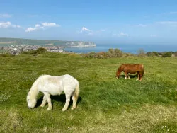 Townsend Nature Reserve - Ref: VS2078