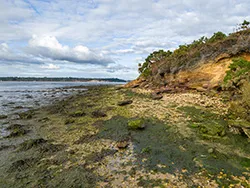 Click to view image Across Poole Harbour