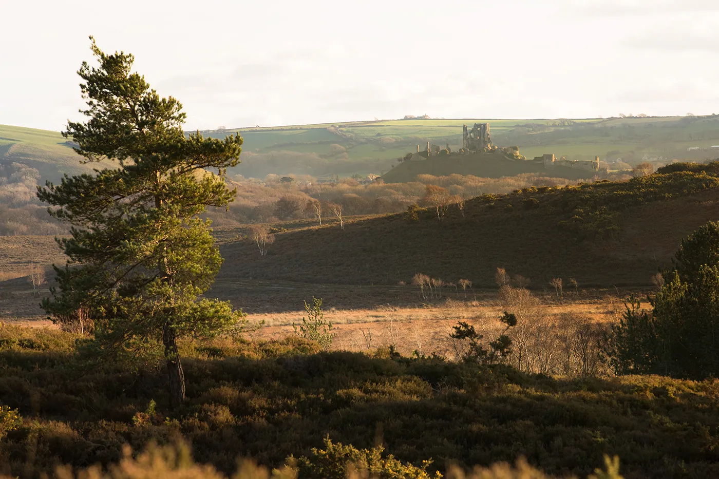 Swanage and Purbeck Gallery