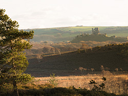 Click to view Corfe Castle from Slepe Heath