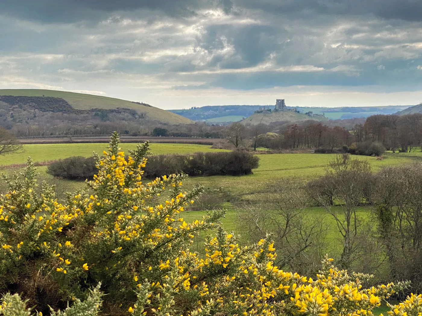 Swanage and Purbeck Gallery