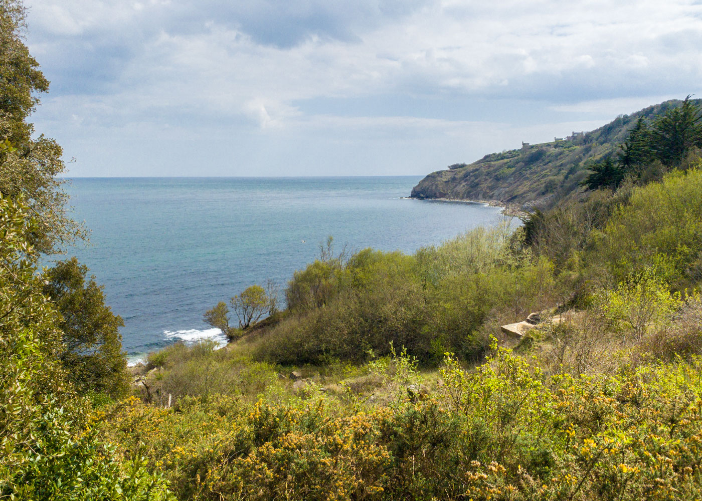 Durlston Bay in the Spring