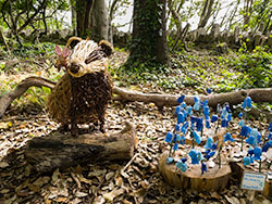 Click to view image Badger and Bluebells - 2196