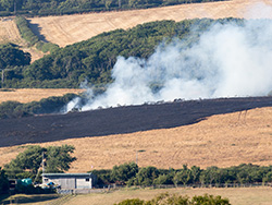 Click to view image Fire damage on Corfe Common - 2320