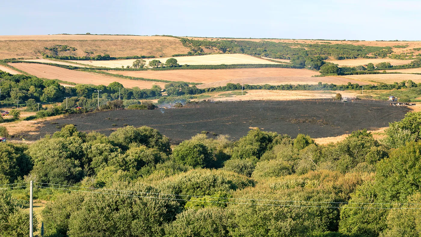 Swanage and Purbeck Gallery