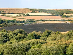 Click to view image Fire damage on Corfe Common