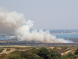 Large heath fire near Littlesea Studland in the Virtual Swanage Gallery