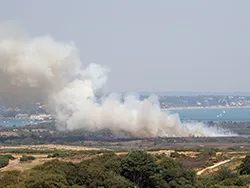 Click to view image Large heath fire near Littlesea Studland