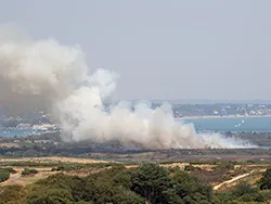 Large heath fire near Littlesea Studland - Ref: VS2324